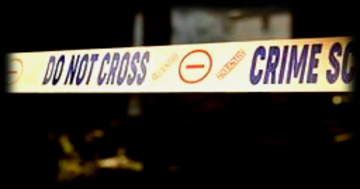 Découverte d'un squelette de bébé enveloppé dans un journal datant de 1910 : les révélations de l'enquête sur cette affaire troublante