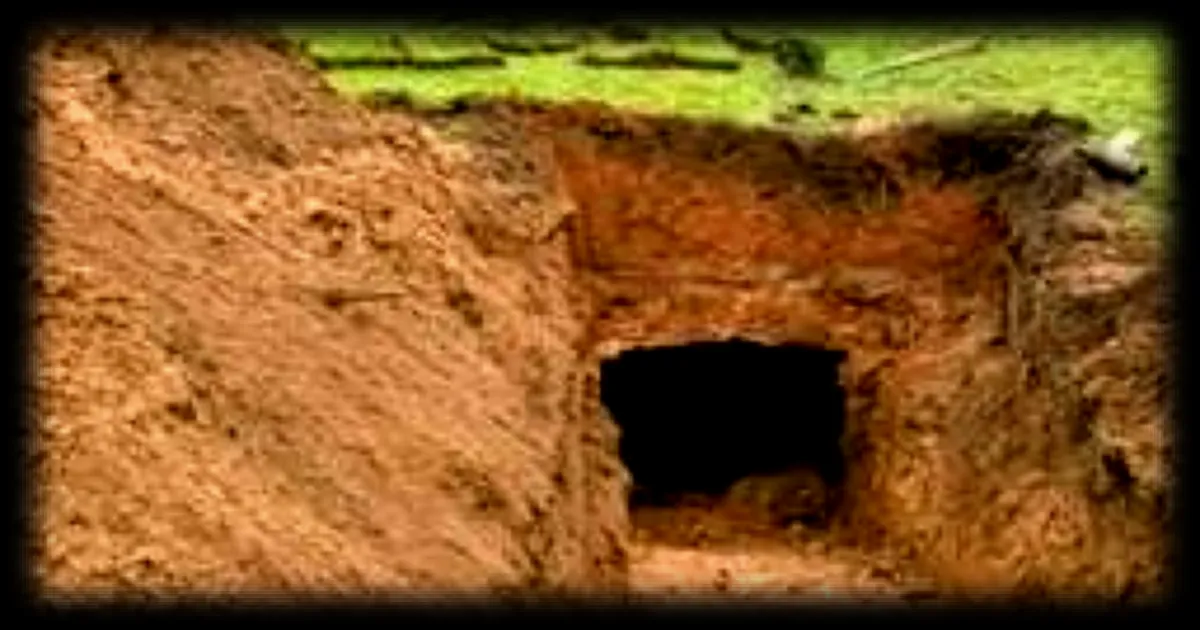 Découverte d'une cave à vin datant du XIXe siècle sous un parcours de golf près de Manchester