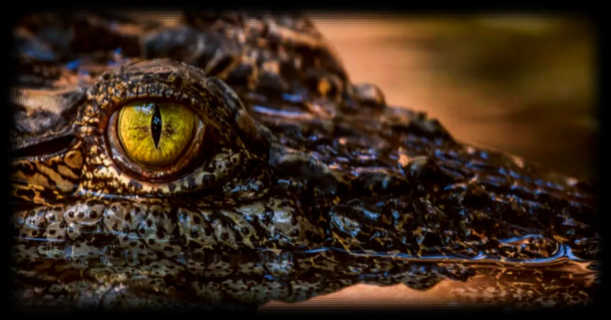 Découverte d'une nouvelle espèce de crocodile préhistorique en Éthiopie