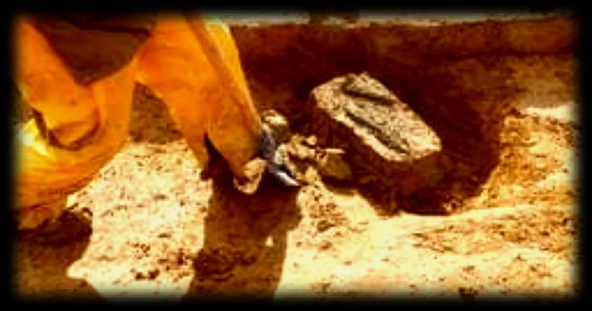 Découverte d'une tombe princière de l'âge du bronze en Normandie