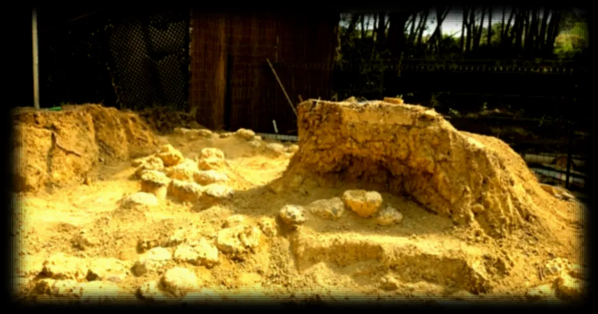 Découverte exceptionnelle en France : un site record de plus de 100 œufs de dinosaures mis au jour dans le sud du pays