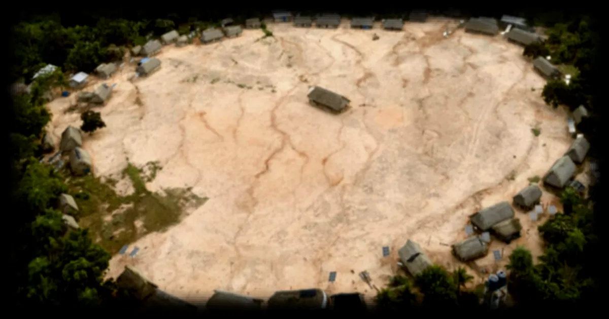 Déforestation des forêts primaires : un recul insuffisant malgré les efforts internationaux