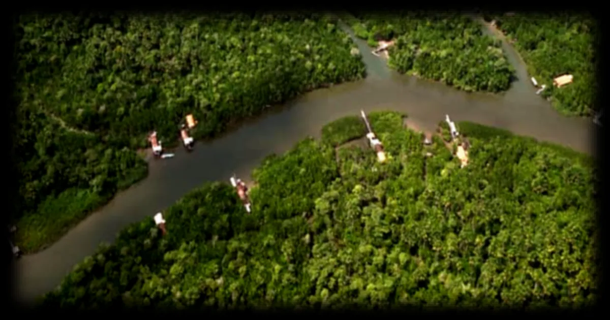 Déforestation en Amazonie brésilienne : un recul historique en dix ans selon les dernières données officielles