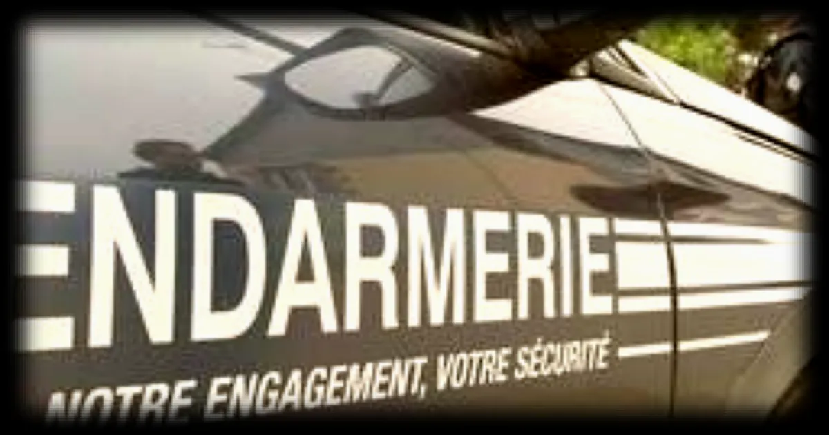 Démantèlement d'un Réseau de Trafic de Stupéfiants entre la Métropole et l'Île de la Réunion : 12 Personnes Interpellées