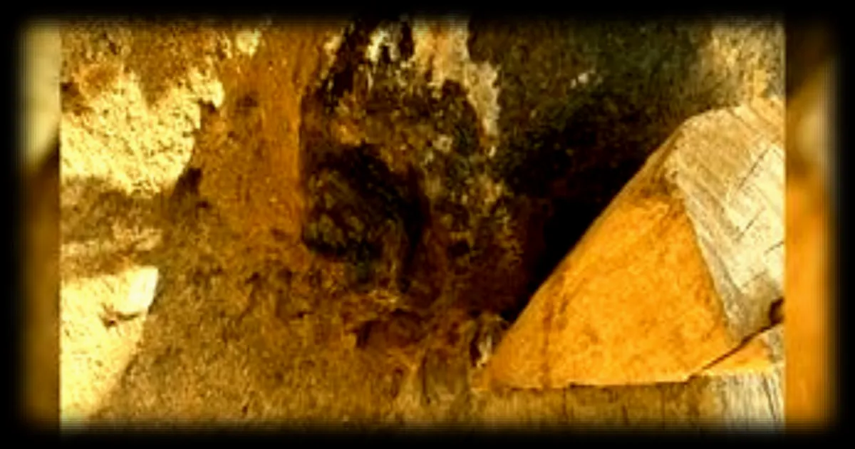 Déminage d'une bombe dans les Hauts-de-Seine : les démineurs contraints de la détruire par explosion sous terre