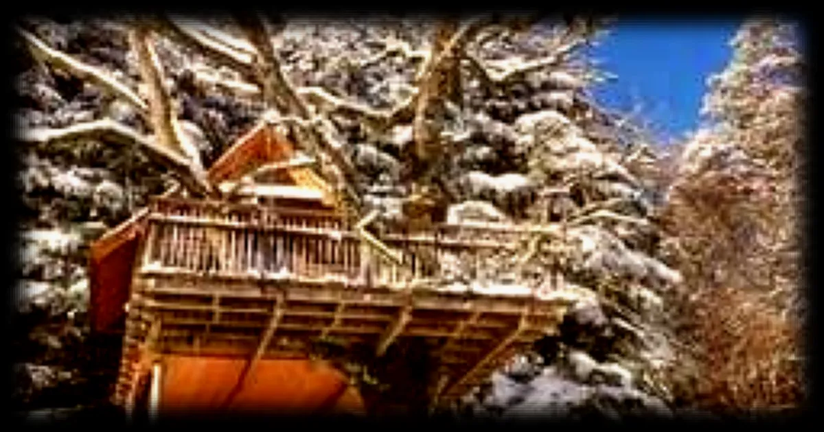 Des cabanes dans les arbres pour un séjour unique près d'une station de ski