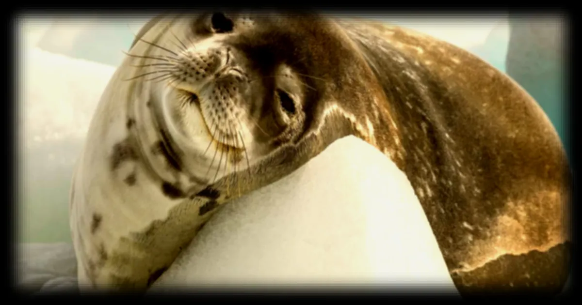 Des chercheurs découvrent un paradoxe inquiétant : moins de CO2, mais des océans 25 mètres plus hauts