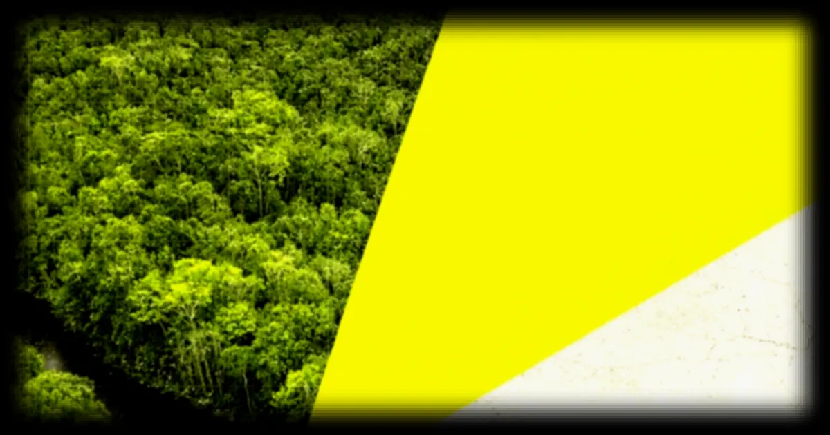 Des chercheurs identifient les aliments responsables de la déforestation mondiale selon une étude de l'université de technologie Chalmers