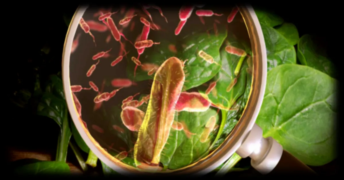 Des chercheurs transforment une bactérie alimentaire en arme contre le cancer colorectal avec succès