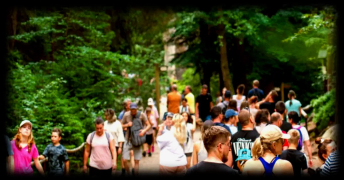 Des comportements irresponsables de touristes choquent dans les parcs nationaux de Californie