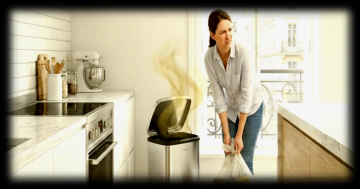 Des conseils d'hygiene : la frequence recommandee pour changer les sacs-poubelle de la cuisine selon un microbiologiste