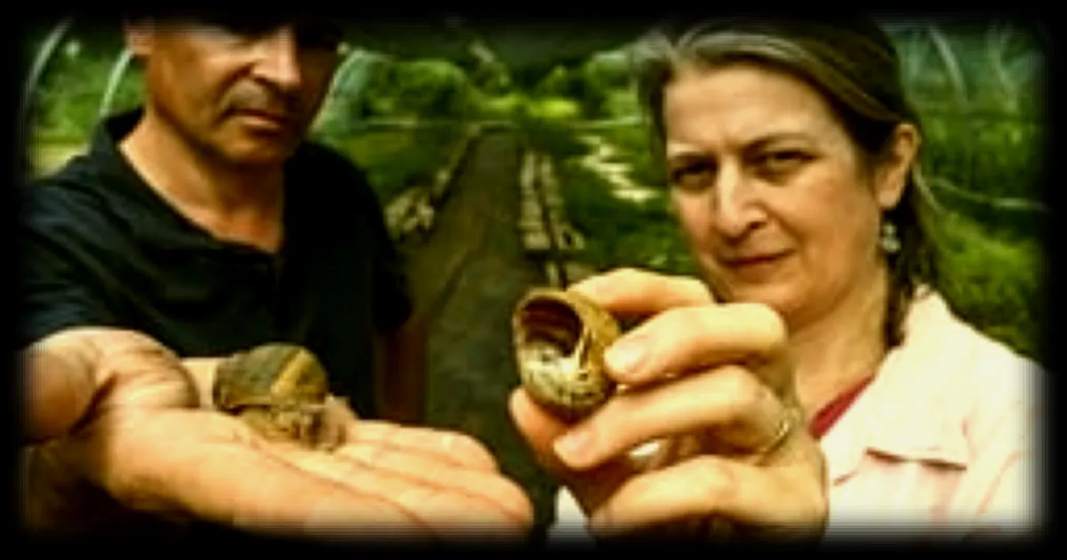 Des éleveurs d'escargots de la Sarthe cessent leur activité en raison des canicules et des augmentations de coûts