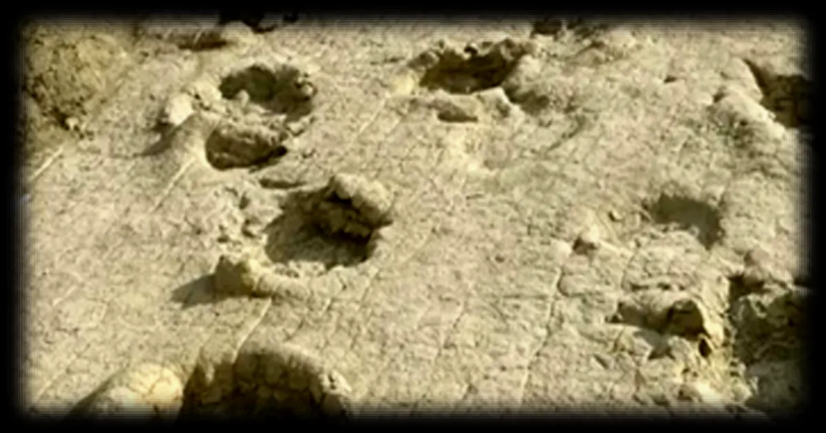 Des empreintes de dinosaures géants découvertes en Mongolie bousculent les théories paléontologiques