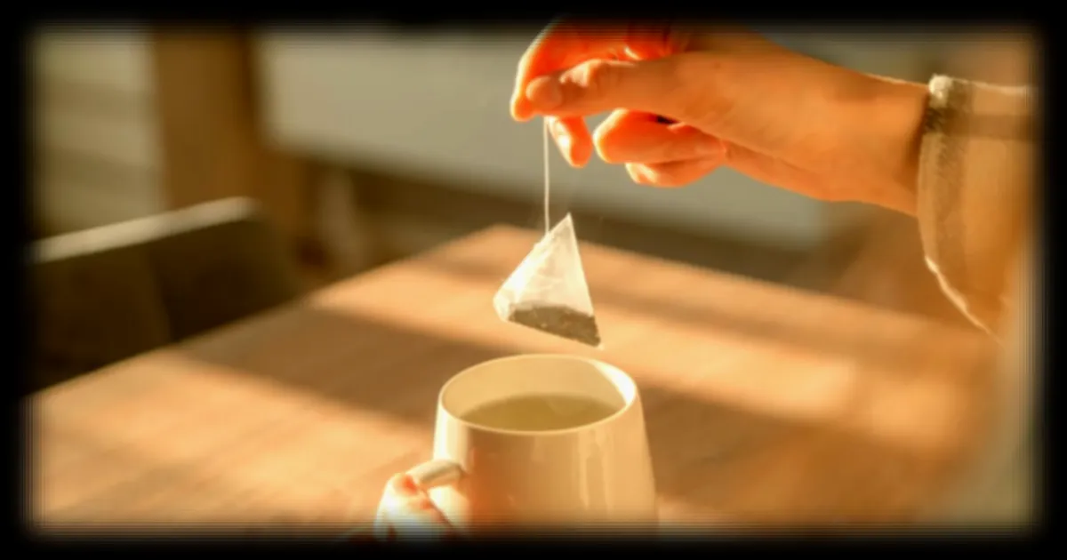 Des experts mettent en garde contre les micro-plastiques dans les sachets de thé vendus en supermarché