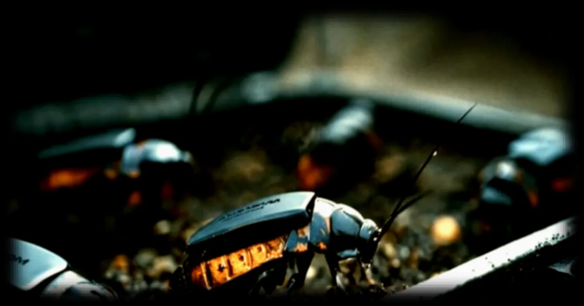 Des insectes robots pour infiltrer les zones à risque : l'innovation militaire de SWARM Biotactics