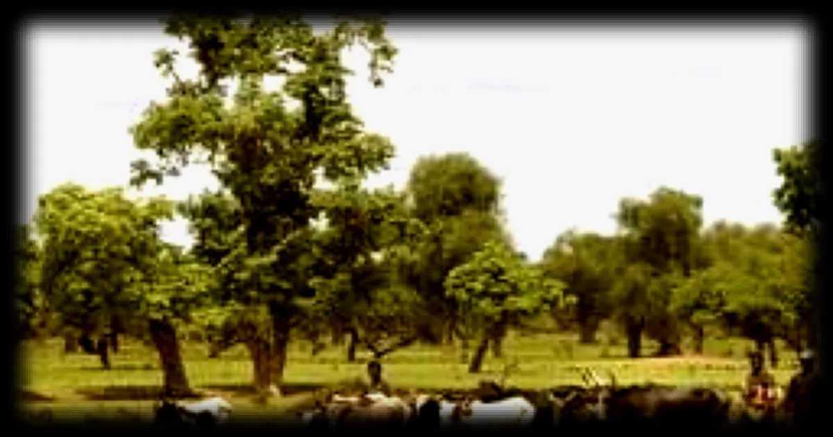 Des miliciens nigérians et béninois tuent des éleveurs peuls au Nigeria