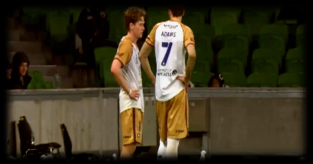 Des mouettes perturbent la fin d'un match en Australie entre Melbourne Victory et Newcastle Jets