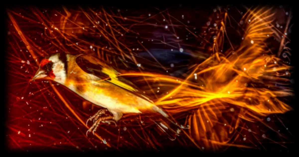 Des photos revelent l'invisible chez les oiseaux : une plongee fascinante dans leur univers lumineux