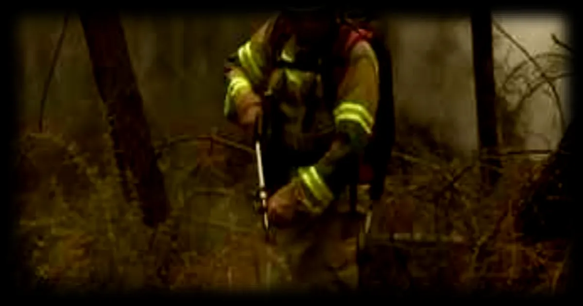 Des pompiers ukrainiens en renfort pour lutter contre les incendies en Gironde