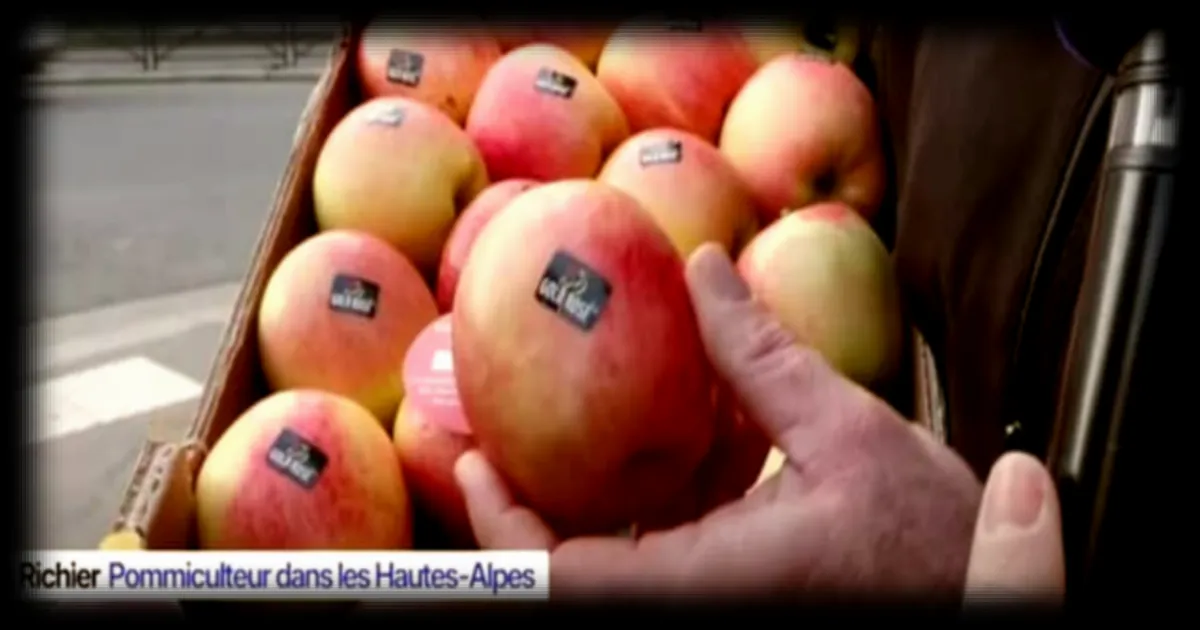 Des producteurs de pommes denoncent la fausse mention 'made in France'