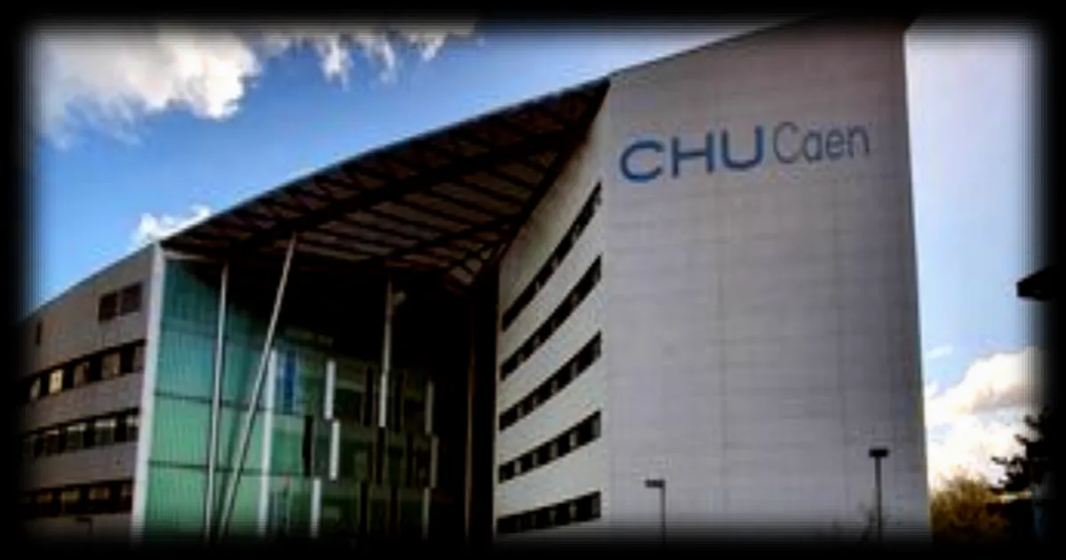 Des psychologues ukrainiennes se forment en Normandie pour gérer le stress post-traumatique