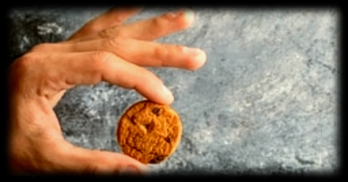 Des scientifiques américains transforment des déchets plastiques en cookies comestibles
