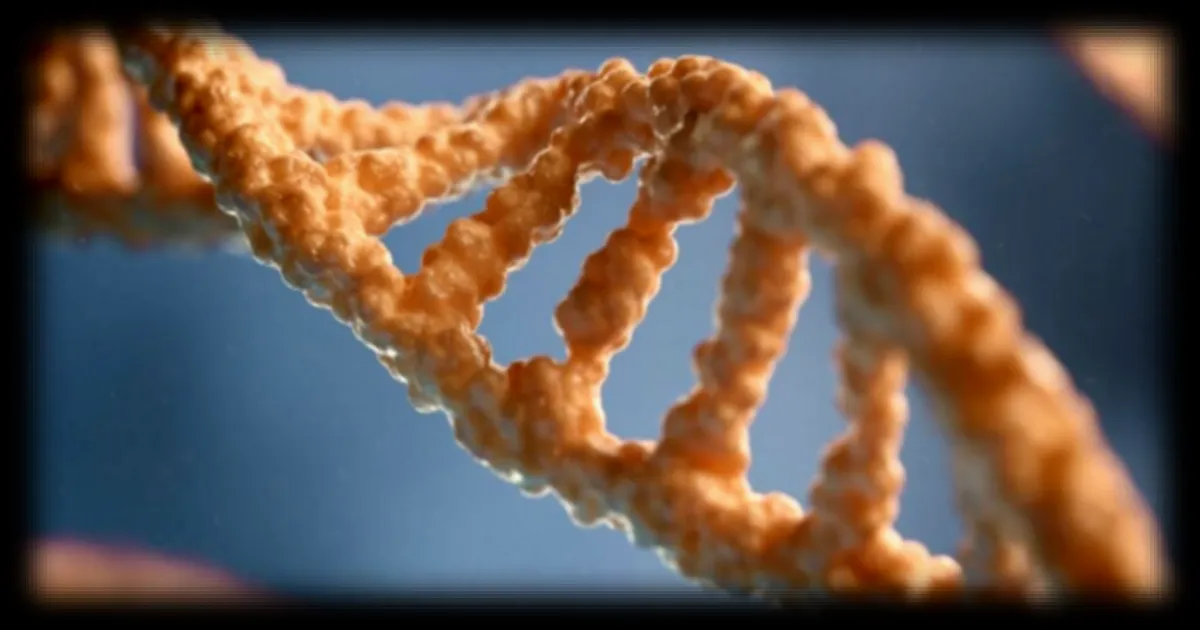 Des scientifiques américains travaillent sur le développement d'un disque dur moléculaire basé sur l'ADN