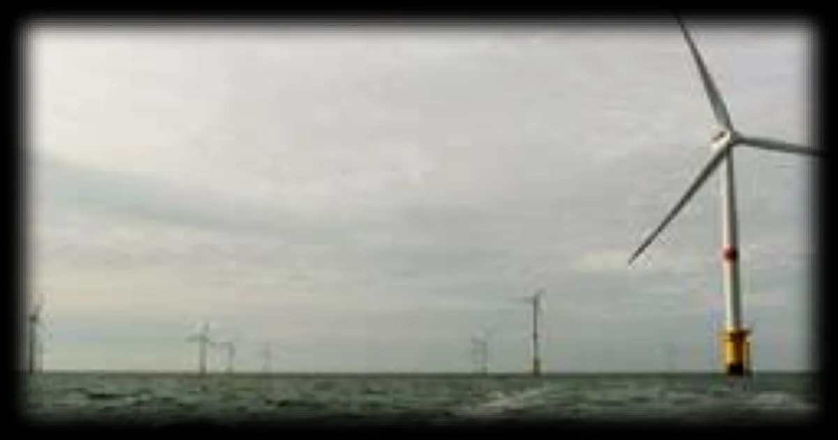 Des scientifiques lancent une étude sur l'impact des parcs éoliens dans la Manche