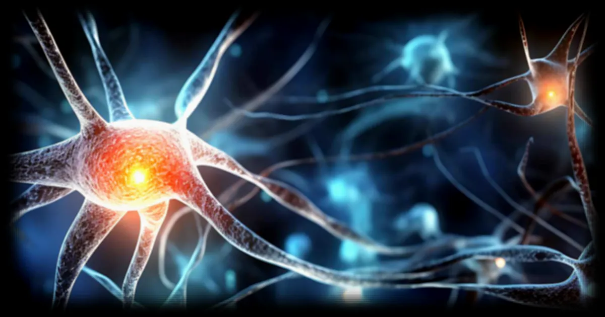 Des scientifiques reconstituent une vidéo entière à partir de l'activité cérébrale de souris