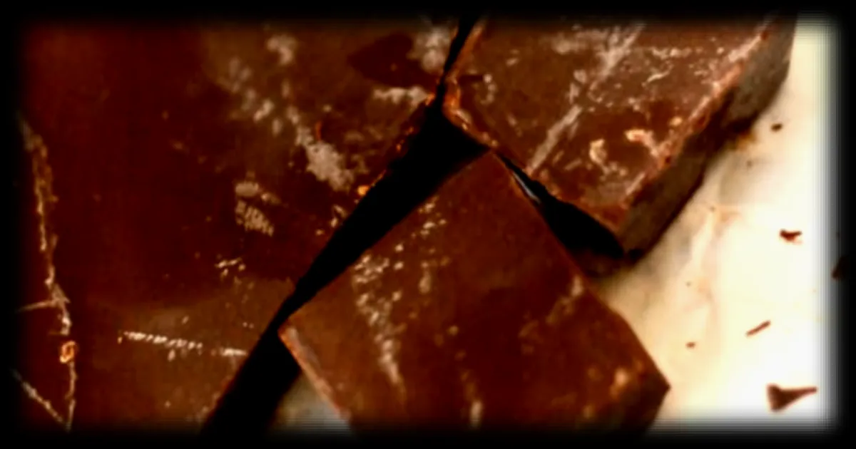 Des tablettes de chocolat au beurre de cacao cultivé en laboratoire bientôt commercialisées par une entreprise israélienne