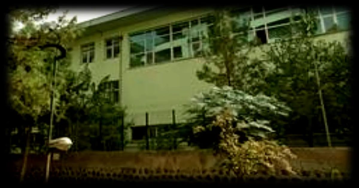 Des tirs signalés dans un lycée en Turquie, plusieurs personnes blessées selon les médias