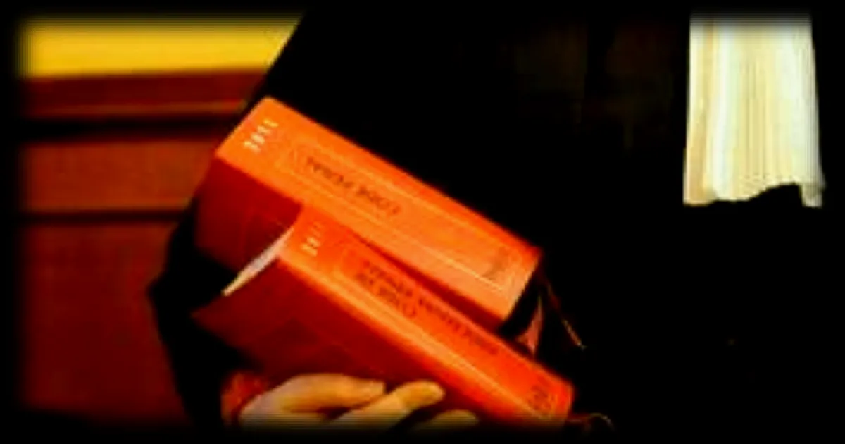 Deux femmes condamnées à Dijon pour avoir abandonné des bébés dans un sac de courses