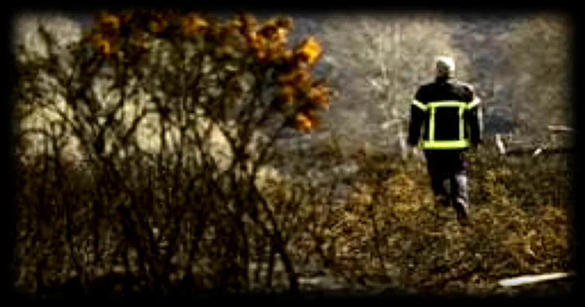 Deux feux de forêt détruisent près de 100 hectares dans le Lot-et-Garonne
