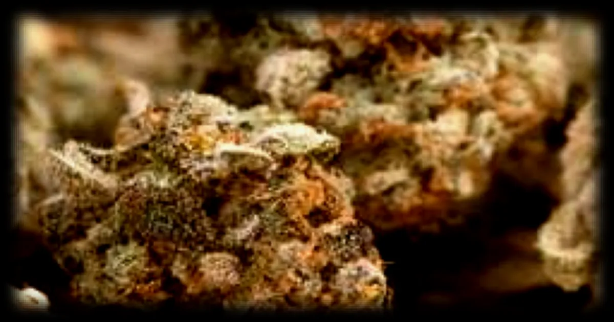 Deux hommes de Château-Thierry seront jugés pour trafic de stupéfiants dans l’Aisne