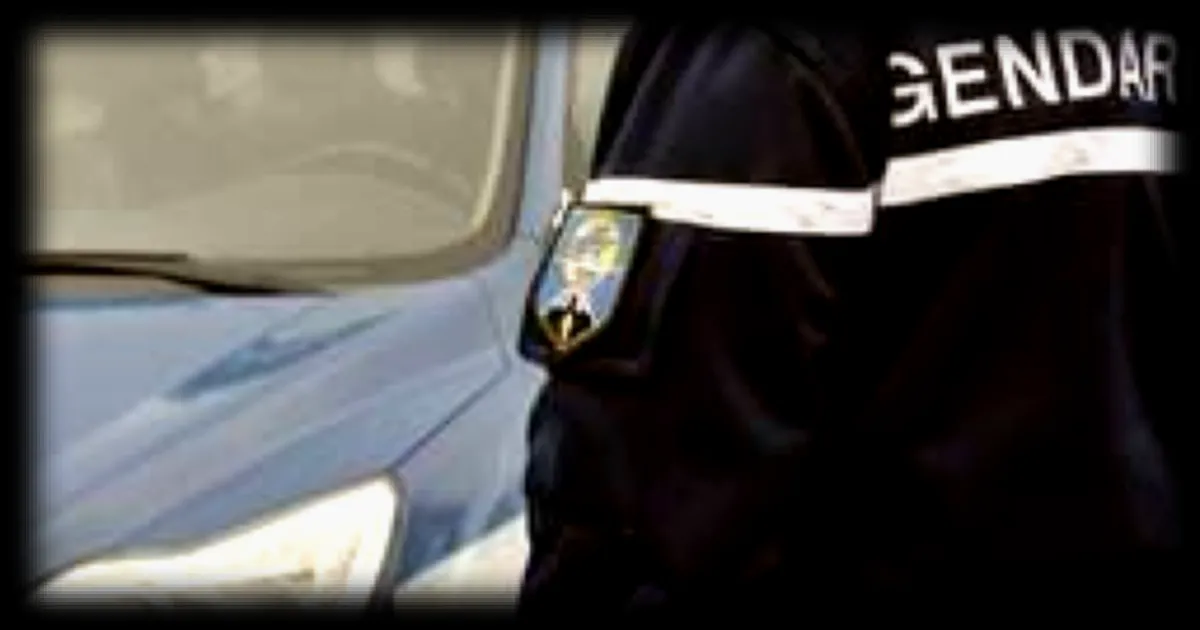 Deux hommes menacent de kidnapper une petite fille à sa mère en raison d'une « dette de 10 000 € »