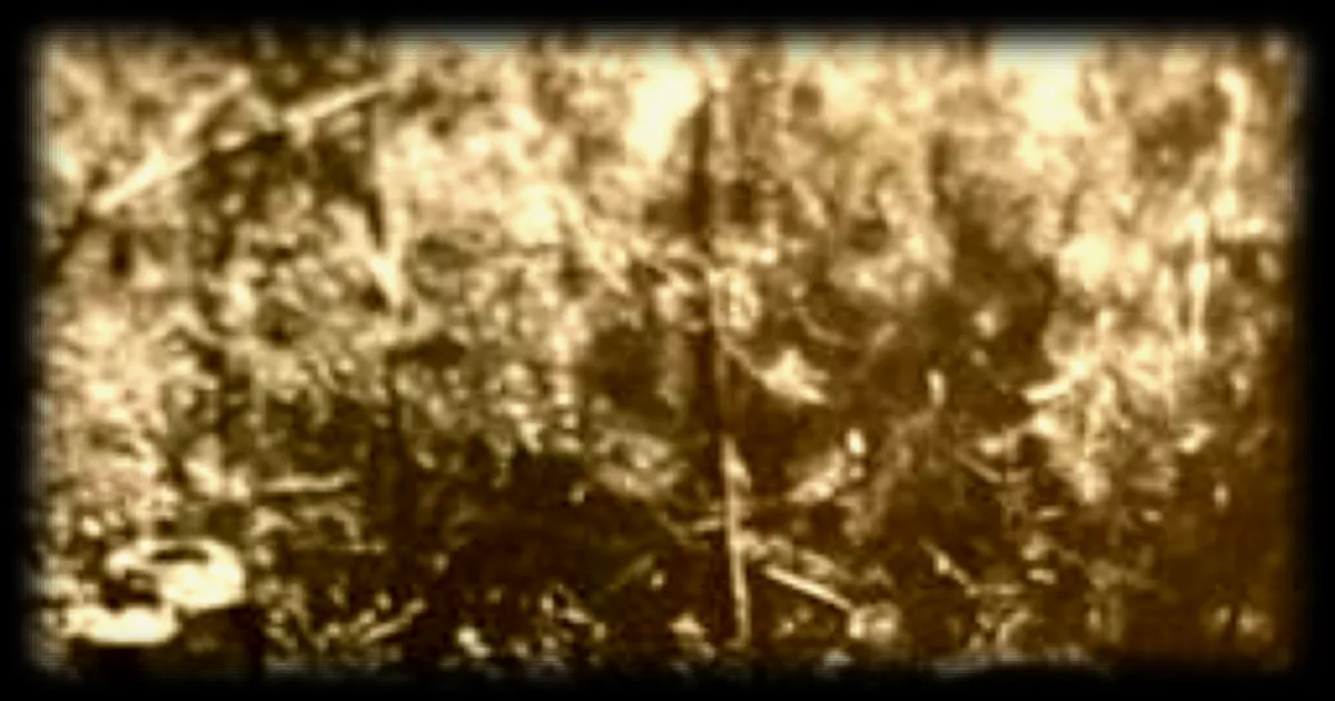 Disparition de la famille Méchinaud en 1972 : un mystère toujours d'actualité, selon Ouest France