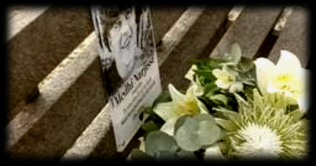 Disparition de Medhi Narjissi : la FFR convoquée dans le cadre de l’information judiciaire