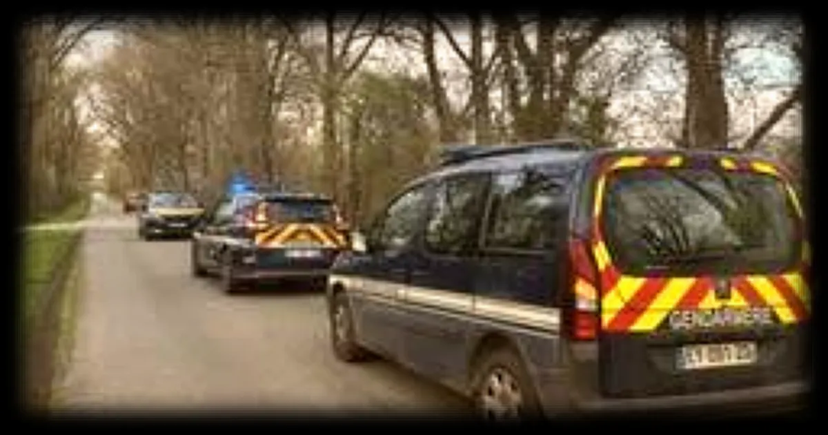 Disparition d'un adolescent en Loire-Atlantique : les recherches se poursuivent