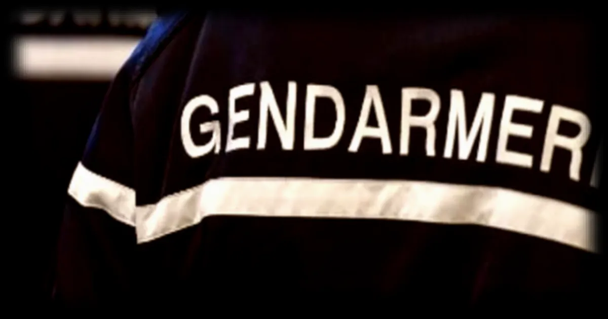 Disparition d'une femme et de son fils de 13 ans dans l'Aveyron: enquête ouverte pour 'enlèvement et séquestration', l'ex-compagnon recherché