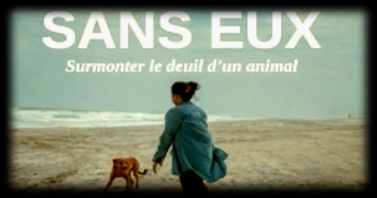 Documentaire « La vie sans eux » : le deuil animalier au cœur d’une projection à Rennes