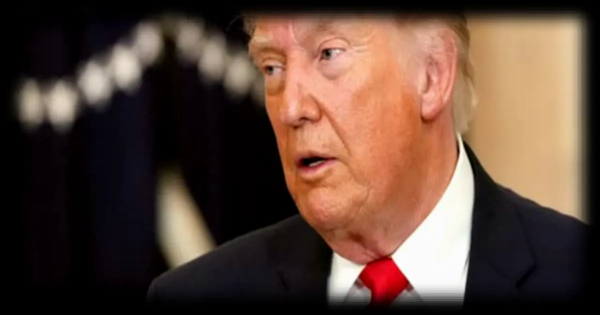 Donald Trump allège les restrictions sur les substances psychédéliques pour la recherche antidépressive