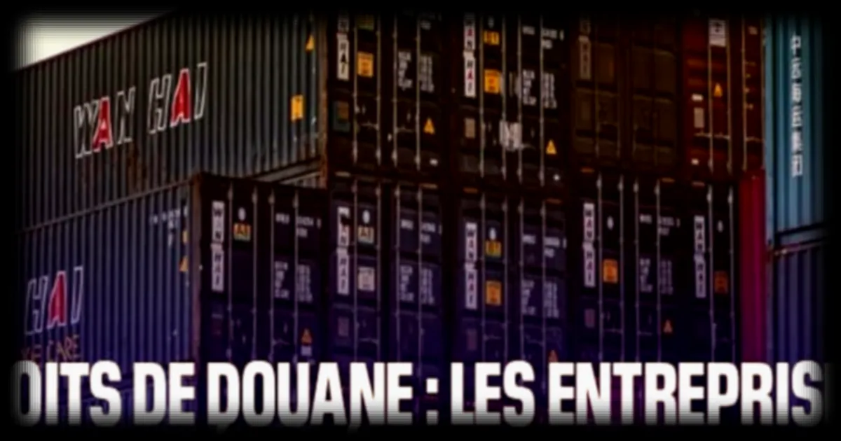 Droits de douane : les entreprises veulent récupérer leur argent