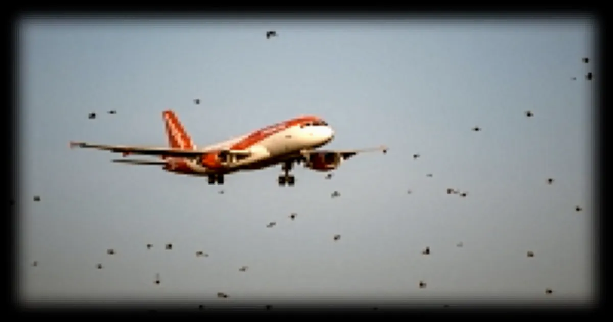 Easyjet accepte l'offre de rachat de Castlelake après quatre refus