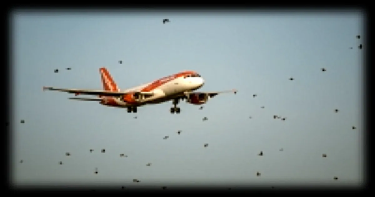 EasyJet rejette trois offres de rachat de Castlelake malgré une prime de plus de 20% sur le cours de l'action