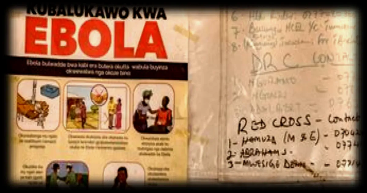 Ebola en Ouganda : cinq cas confirmés après trois nouveaux diagnostics, alors que la RDC reste en alerte maximale