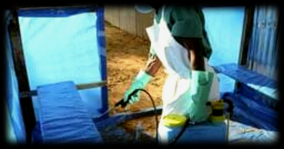 Ebola : l'OMS sonne l'alerte face à une nouvelle épidémie, un virologue met en cause la dégradation de l'environnement