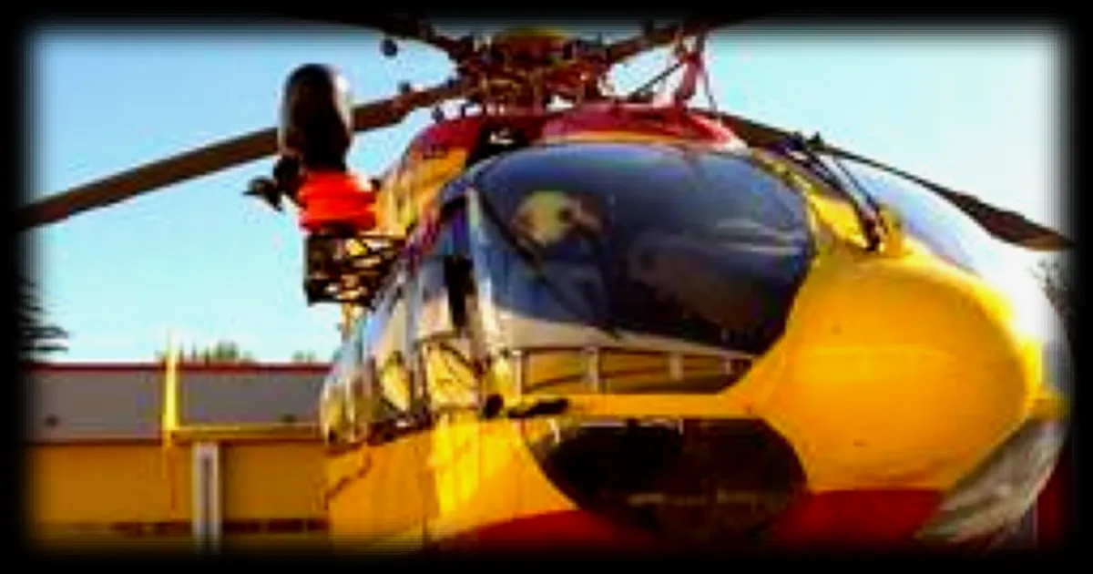 Écrasé par une voiture, un élagueur trouve la mort dans une forêt près de Marseille