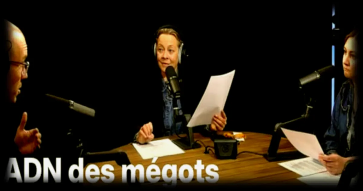 Edwige Alessandri: une condamnation pour meurtre sous le feu de la critique