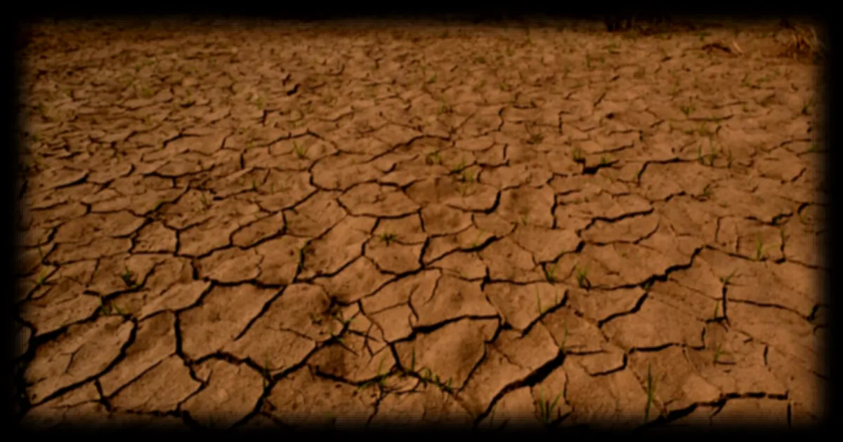 El Niño officiellement en place : vers des températures records en 2027 selon les experts