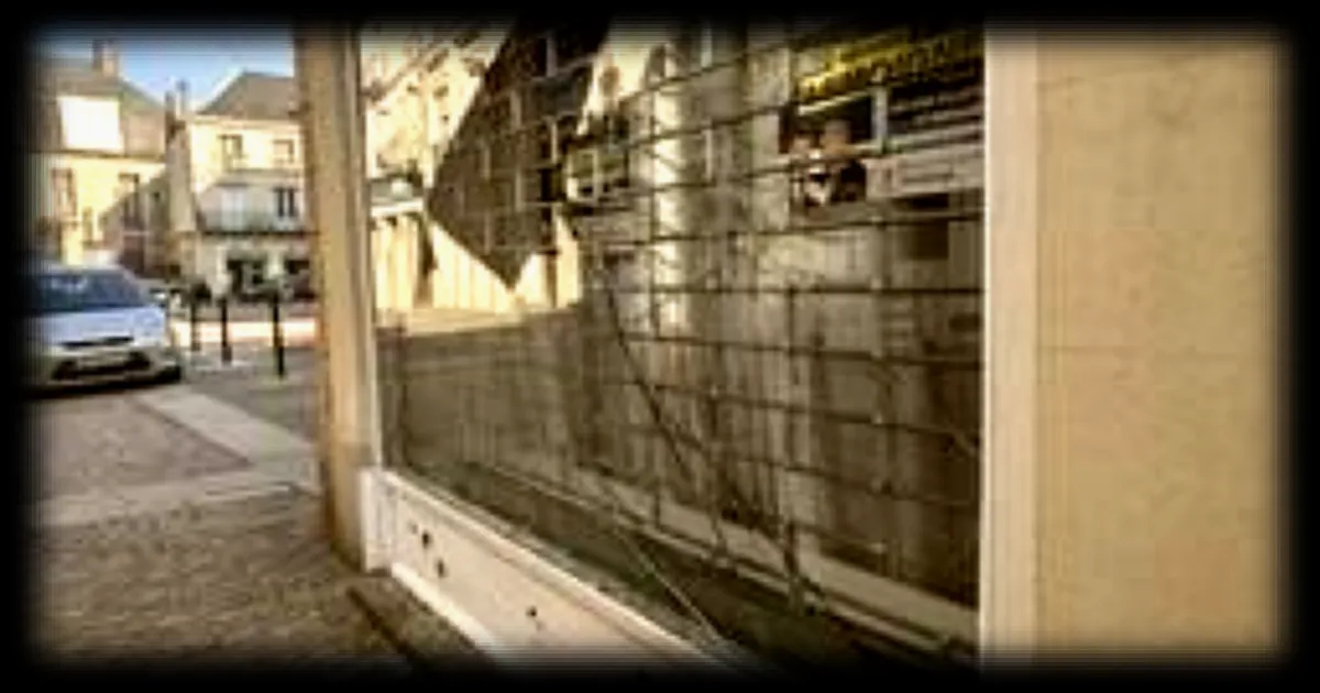 Élection municipale à La Flèche : le Rassemblement national prend la mairie dans un contexte de fracture